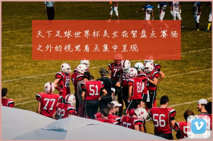 天下足球世界杯美女花絮盘点 赛场之外的视觉看点集中呈现