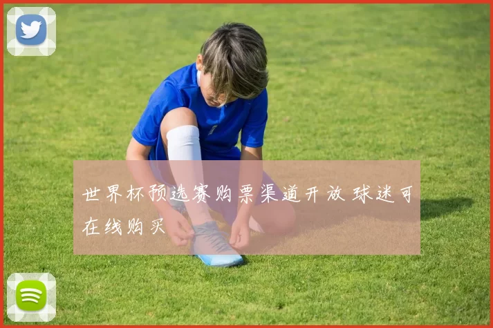 世界杯预选赛购票渠道开放 球迷可在线购买