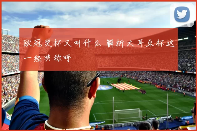 欧冠奖杯又叫什么 解析大耳朵杯这一经典称呼