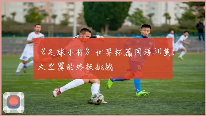《足球小将》世界杯篇国语30集:大空翼的终极挑战