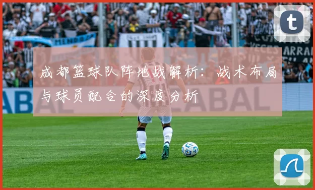 成都篮球队阵地战解析：战术布局与球员配合的深度分析
