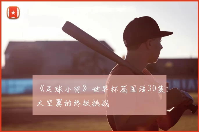 《足球小将》世界杯篇国语30集：大空翼的终极挑战