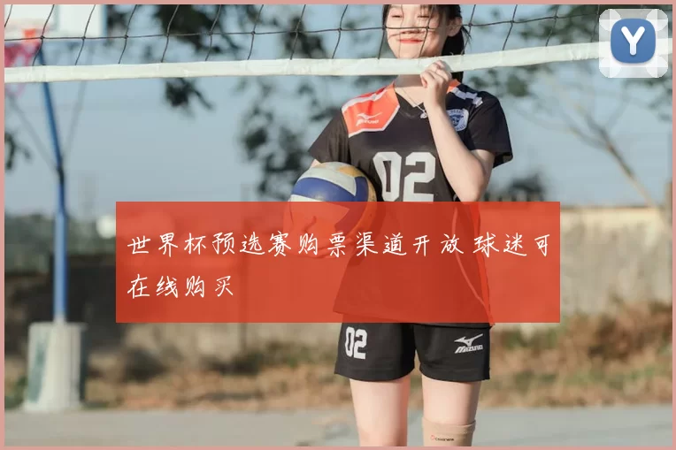 世界杯预选赛购票渠道开放 球迷可在线购买