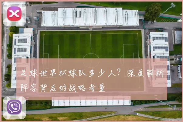 足球世界杯球队多少人？深度解析阵容背后的战略考量