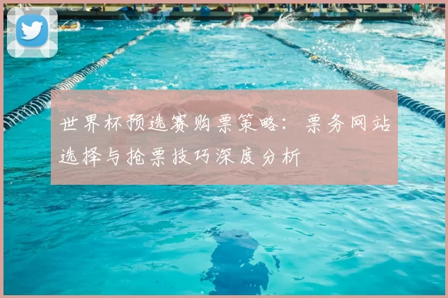 世界杯预选赛购票策略：票务网站选择与抢票技巧深度分析