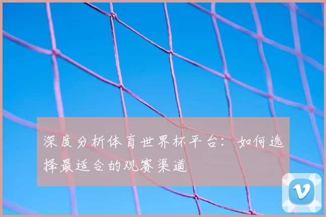 深度分析体育世界杯平台：如何选择最适合的观赛渠道