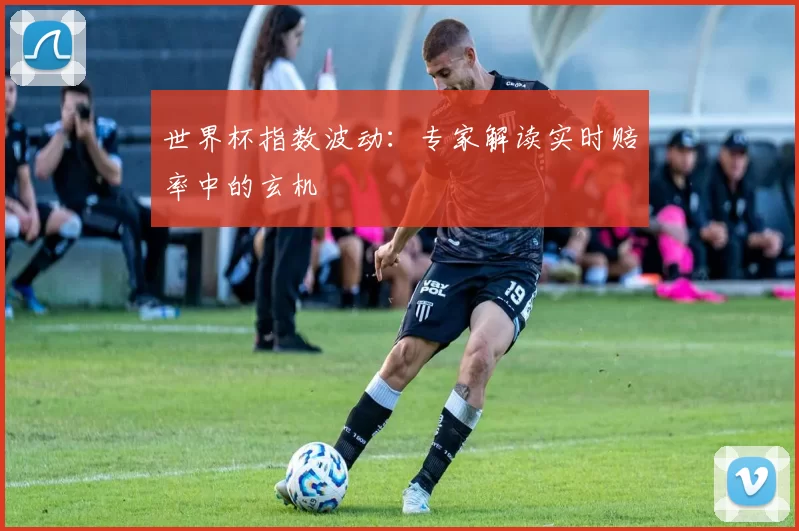 世界杯指数波动：专家解读实时赔率中的玄机