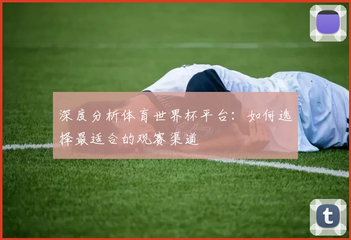 深度分析体育世界杯平台：如何选择最适合的观赛渠道